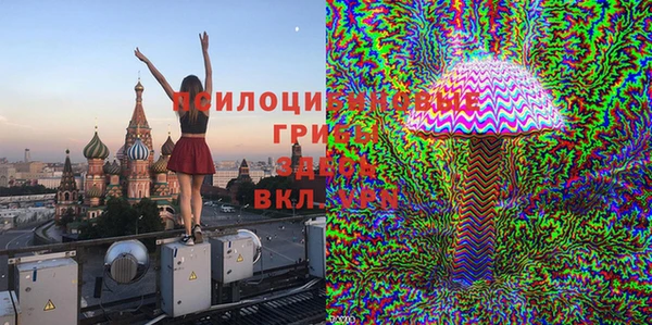 apvp Волоколамск