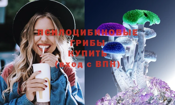 гидра Володарск