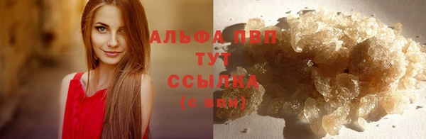 гидра Володарск