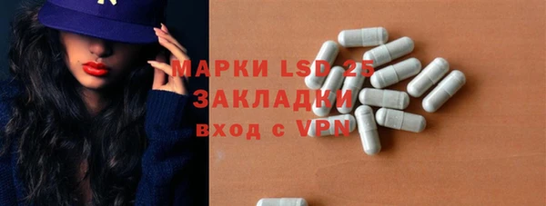 гидра Володарск