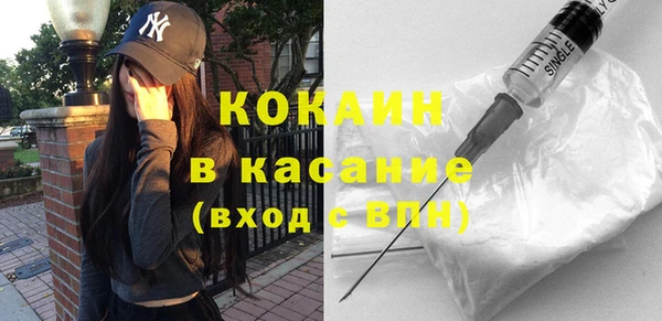 гидра Володарск