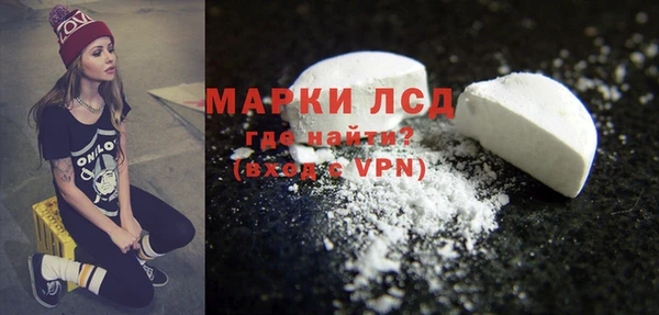 гидра Володарск